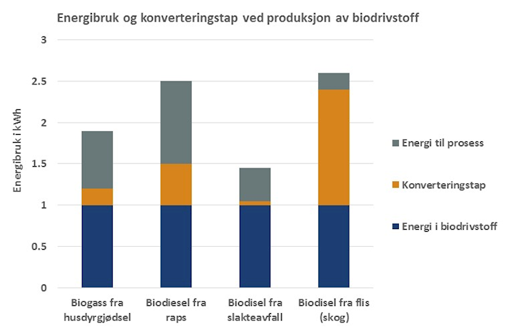 Energy consumption and conversion losses in the production of biofuels