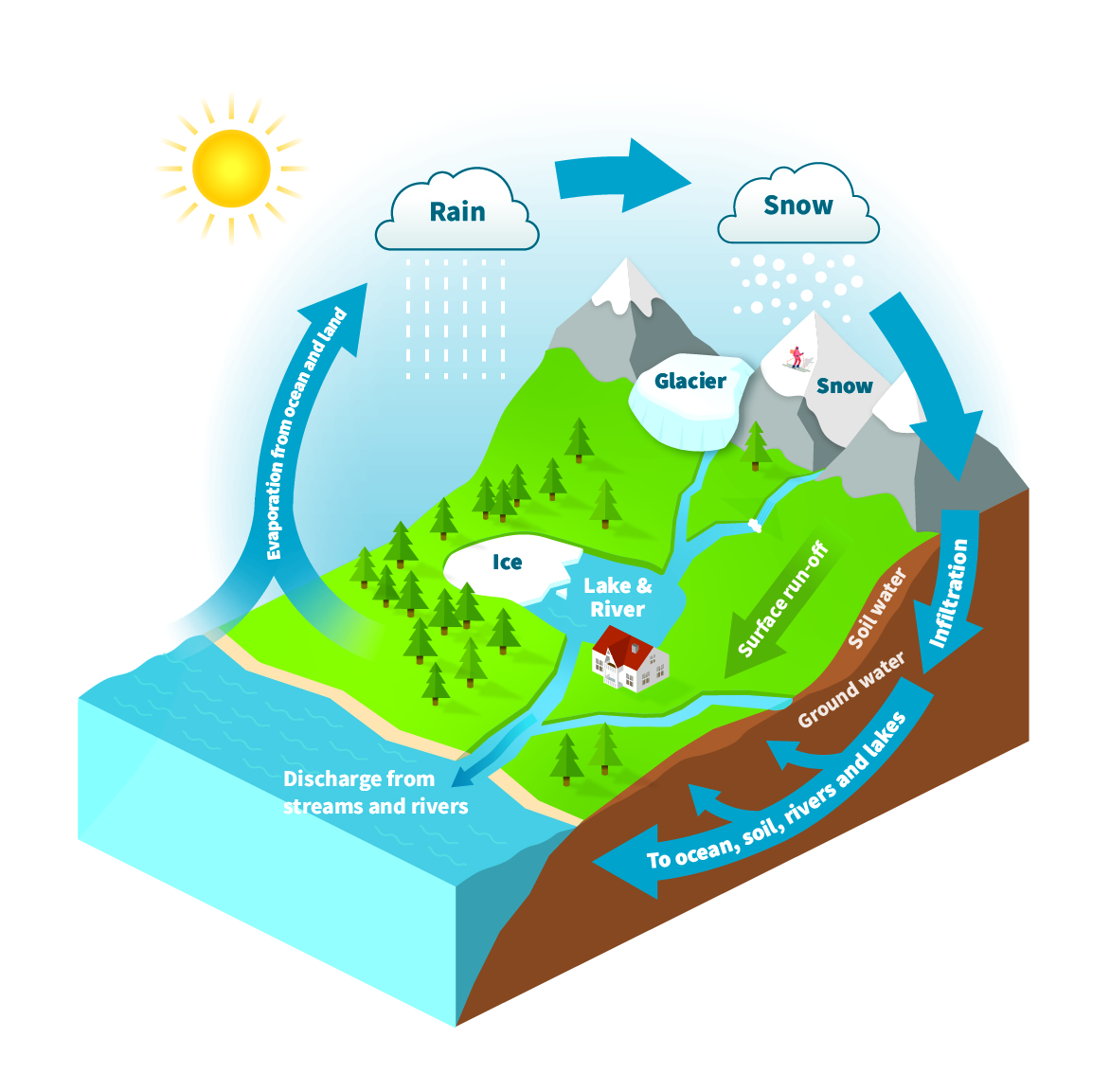 Illustration of the water cycle, NVE.