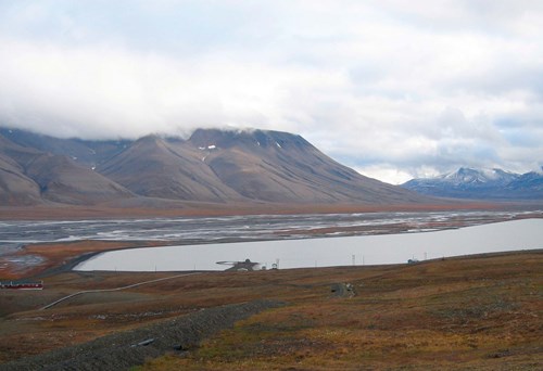 Dammen og landskapet