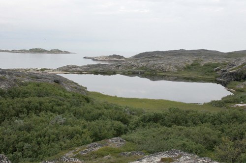 Isdammen (&#216;ystein Nilsen, 2011)-2.jpg