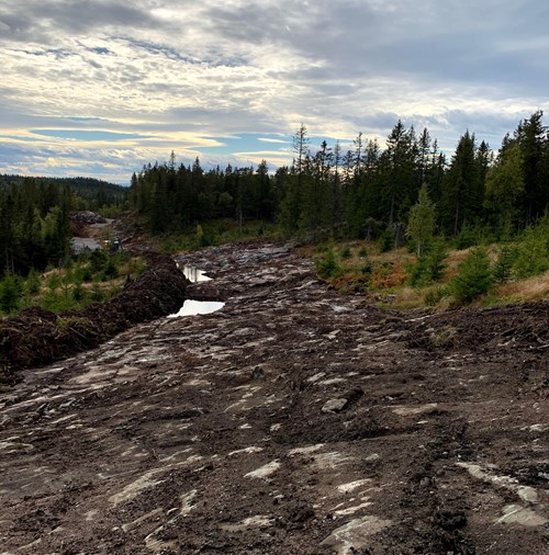 Bilde 3 Rensk Og Ivaretagelse Av Toppmasser Veibygging I Skog 1