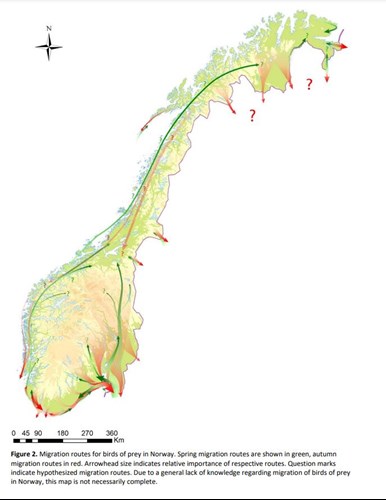 Kart trekkruter rovfugl i Norge.