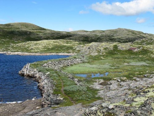 Storteppingje dam