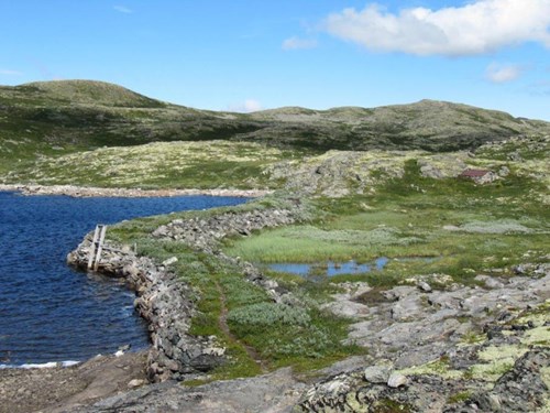 Storteppingje dam