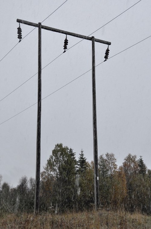 Portalmast av rundtømmer