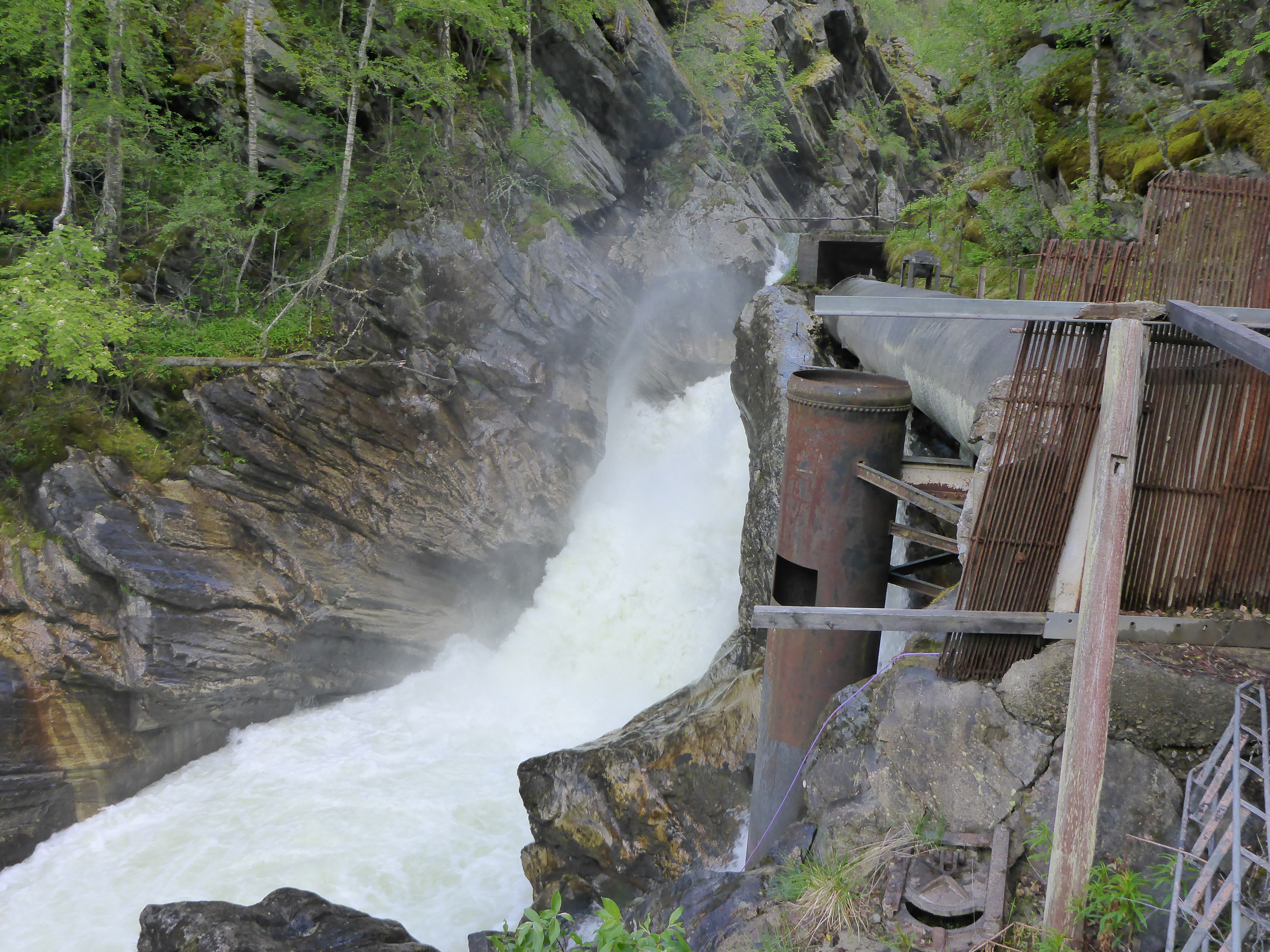 Noen steder trengs det en opprydding. etter gamle inngrep Foto: NVE